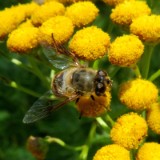 1808F 152 Regen-Naab Radweg